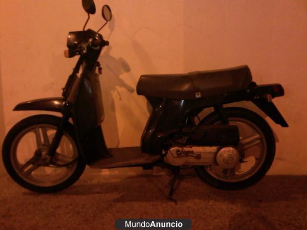 Honda Scoopy sh 50