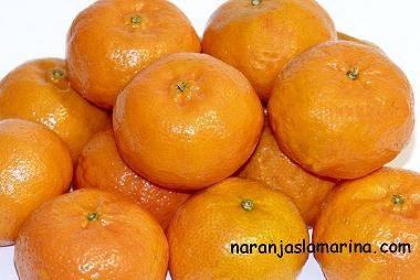 NARANJAS, MANDARINAS Y LIMONES