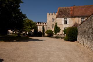 Castillo : 13/13 personas - piscina - cognac  charente  poitou-charentes  francia