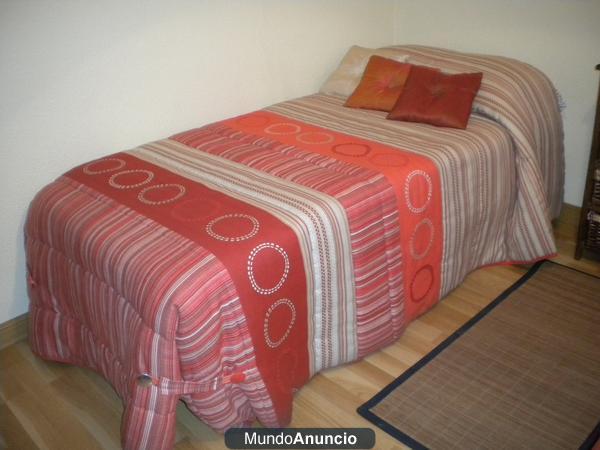 Vendo dos camas de 80cm con somieres y colchon casi sin estrenar, con edredones, almohadas y 6 cojines por 250 €.