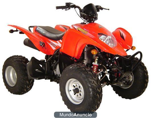 QUAD 250 Potente motor monocilÃ­ndrico de 4T con refrigeraciÃ³n...