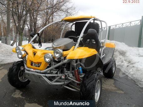 Vendo Buggy Renli 250