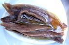 Vendo Anchoas de Marruecos.