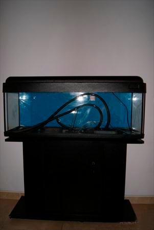 Acuario 120 litros