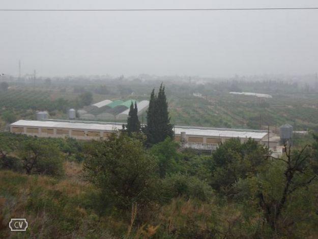 Finca rústica entre alcanar y casas de alcanar