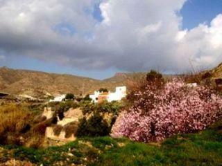 Finca/Casa Rural en venta en Aguamarga, Almería (Costa Almería)