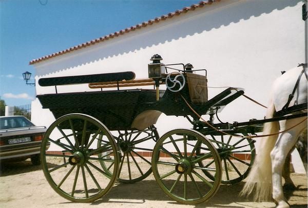 Vendo coche de caballos tipo break jardinera