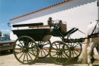 Vendo coche de caballos tipo break jardinera - mejor precio | unprecio.es