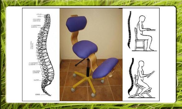 Silla Ergonómica Perfeccionada ¡Mejor precio garantizado!