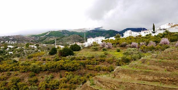 Terreno/Finca Rstica en venta en Canillas de Albaida, Málaga (Costa del Sol)