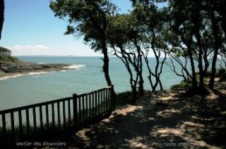 Apartamento en residencia : 4/4 personas - royan  charente-maritime  poitou-charentes  francia