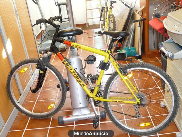 BICICLETA DE MONTAÑA