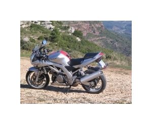 SUZUKI SV 1000