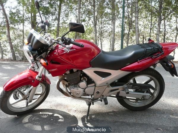 Gonda CBF 250 Málaga