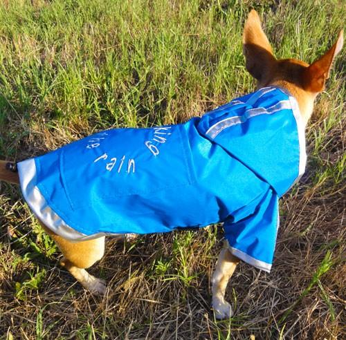 Impermeable para perro