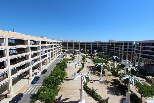 Apartamento en Guardamar del Segura