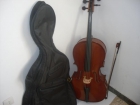 50 euros cello 1/4 decoración marca stentor ii - mejor precio | unprecio.es