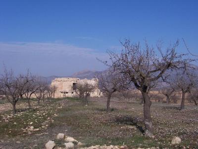 in Ricote,  Murcia   - 20000  EUR