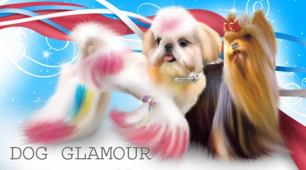 Tratamientos navideños DOG GLAMOUR para su mascota.