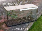 vendo terrario de cristal 80 largo 30 fondo 40 alto - mejor precio | unprecio.es