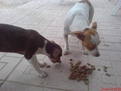 mama e hija buscan un hogar digno