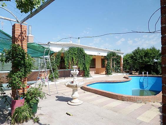 Chalet en Argamasilla de Alba