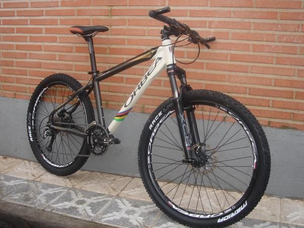 Orbea MTB Team Master