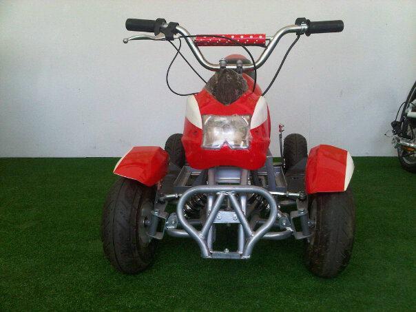 Quad electrico 100% !