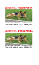 COMPRO - BUSCO PERRO PASTOR ALEMAN EXTRAVIADO EN QUEBRADA DE ALVARADO