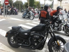 Oportunidad harley davidson - mejor precio | unprecio.es