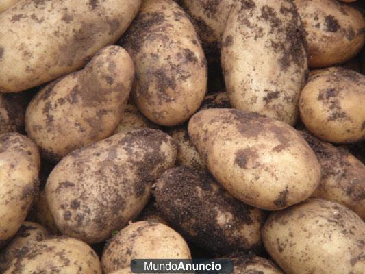 Patatas de Galicia