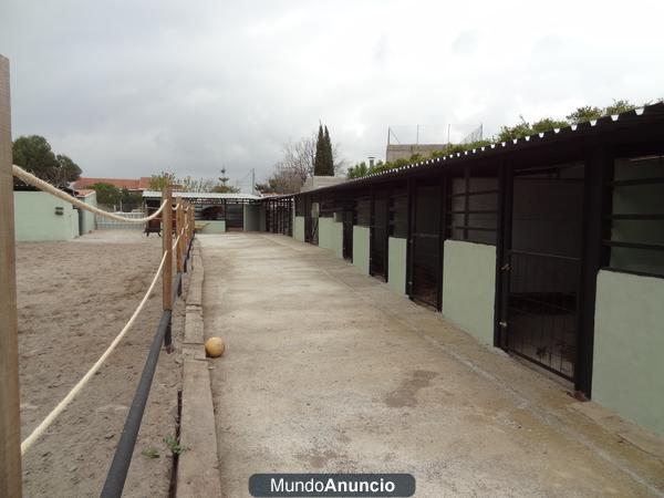 Pupilaje de Caballos en Naquera