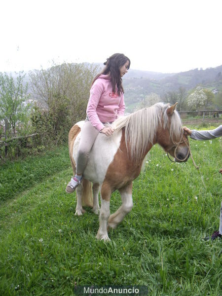 Se vende Pony