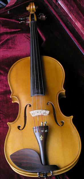 Se vende viola en perfecto estado