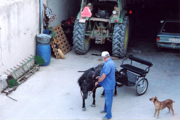 se vende Pony hembra con carrito y montura