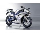 TRIUMPH DAYTONA 675 - mejor precio | unprecio.es