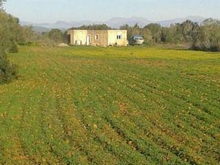 Finca/Casa Rural en venta en Felanitx, Mallorca (Balearic Islands)