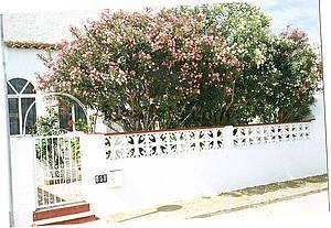 Casa en Alcazares, Los