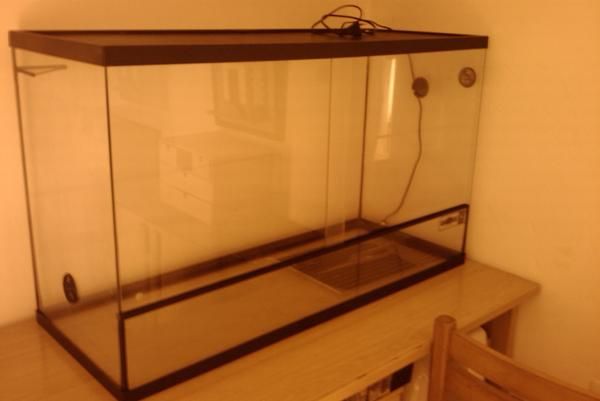 vendo terrario: 100x40x60cm  por 150 euros