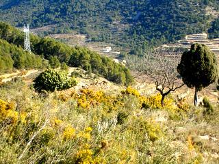 in Atzeneta Del Maestrat,  Catalonia   - 18000  EUR