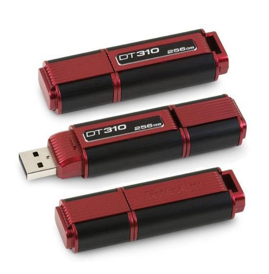 Pendrive kingston  256 gb dt310 rojo