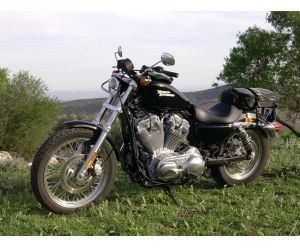 HARLEY DAVIDSON XL 883 SPORTSTER