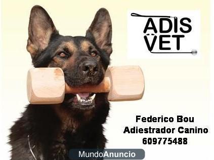 ADIESTRADOR CANINO A DOMICILIO EN BARCELONA PROVINCIA