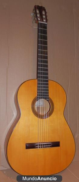 Guitarra Sobrinos de Domingo Esteso