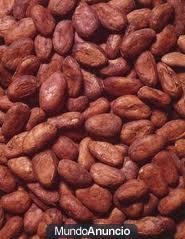 Cacao en grano