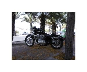 HARLEY DAVIDSON SPORTSTER 883