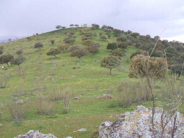 Terreno,casa,encinas,almendros,sondeo y vallado...