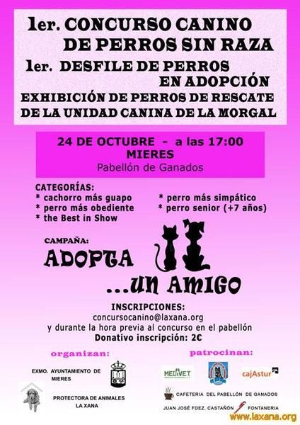 24 Octubre Desfile Perros en ADOPCION y CONCURSO!