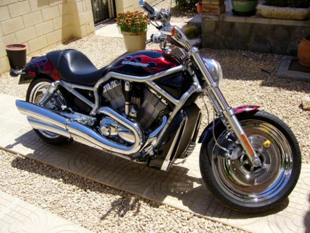 HARLEY DAVIDSON   V-ROD