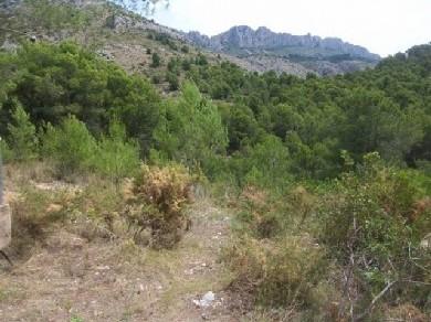 Terreno se vende en Altea, Costa Blanca